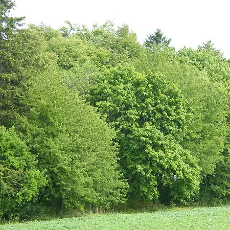 Privat bolig Pokoje I Sloneczne